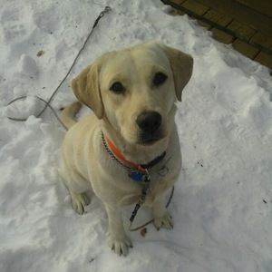 Meet your Posher, Jackie